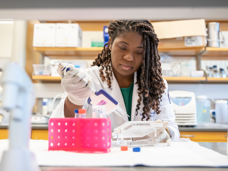 Dr. Denise Cornelius, director of PreClinical Research and associate professor of emergency medicine, and pharmacology and toxicology, measures good and bad proteins in tissue samples. Joe Ellis/ UMMC Communications